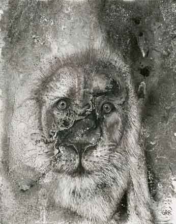 Reflection by the Waterhole, Image 1 — Glen Ronald